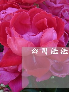 公司法法人人格否认制度法条在哪 公司法法人人格否认制度法条在哪
