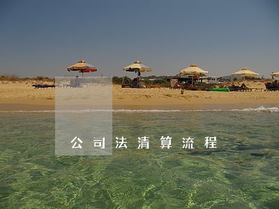 公司法清算流程 公司法清算流程