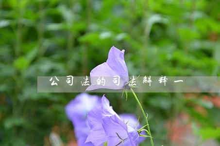 公司法的司法解释一 公司法的司法解释一