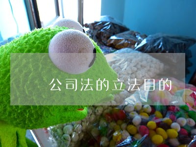 公司法的立法目的 公司法的立法目的
