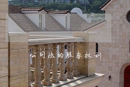 公司法的股东权利