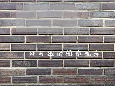 公司法的颁布机关 公司法的颁布机关