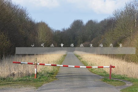 公司法章程法定性内容 公司法章程法定性内容