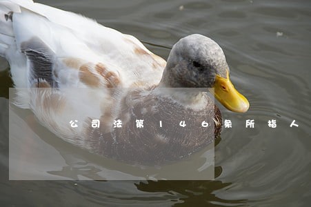 公司法第146条所指人员 公司法第146条所指人员