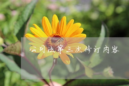 公司法第三次修订内容 公司法第三次修订内容