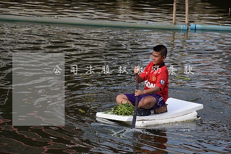 公司法股权激励条款 公司法股权激励条款