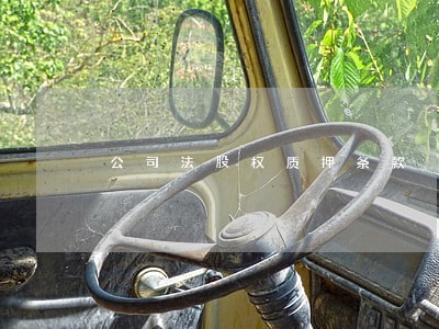 公司法股权质押条款 公司法股权质押条款