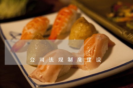 公司法规制度建设