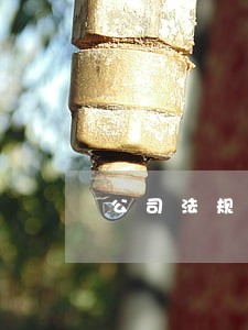 公司法规定的有