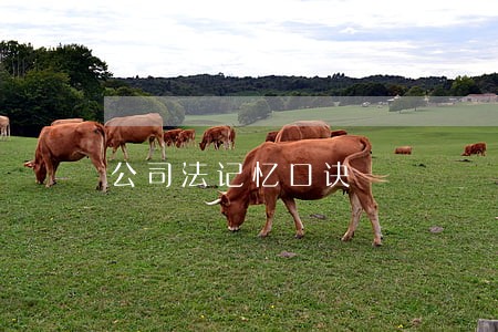 公司法记忆口诀 公司法记忆口诀