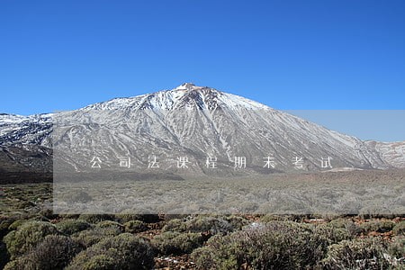 公司法课程期末考试 公司法课程期末考试