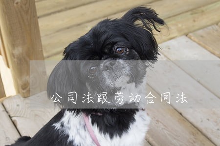 公司法跟劳动合同法 公司法跟劳动合同法