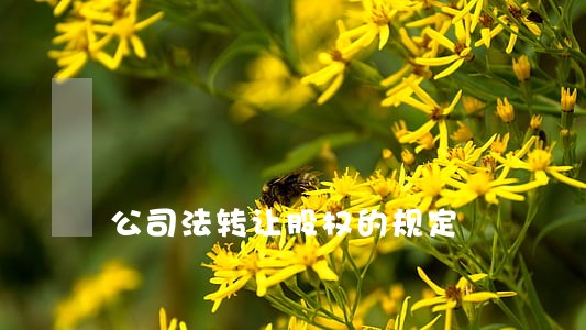 公司法转让股权的规定 公司法转让股权的规定