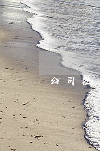公司法重点归纳 公司法重点归纳