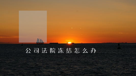 公司法院冻结怎么办 公司法院冻结怎么办