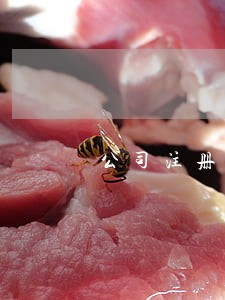 公司注册地址写哪里 公司注册地址写哪里