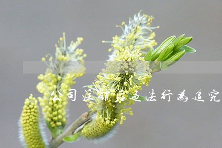 公司注销后违法行为追究吗