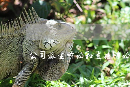 公司派生诉讼和直接诉讼的区别 公司派生诉讼和直接诉讼的区别