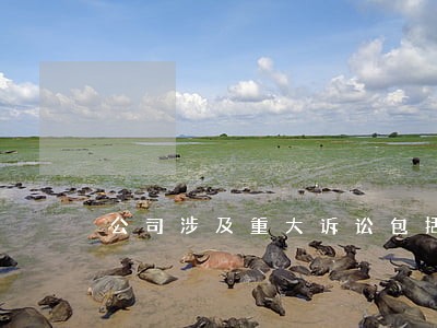 公司涉及重大诉讼包括哪些