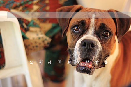 公司清算与律师业务 公司清算与律师业务