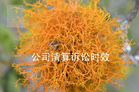 公司清算诉讼时效 公司清算诉讼时效