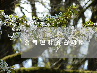公司理财的逾期率 公司理财的逾期率