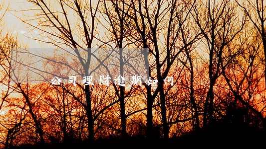 公司理财逾期如何 公司理财逾期如何
