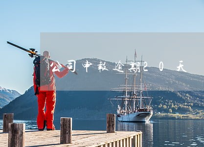 公司申报逾期20天 公司申报逾期20天