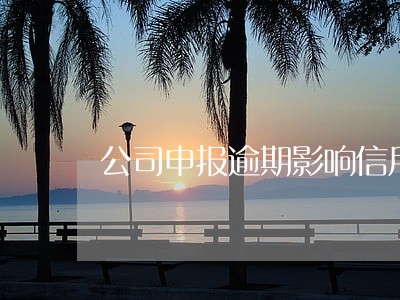 公司申报逾期影响信用 公司申报逾期影响信用