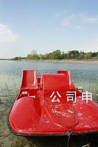 公司申请专利流程 公司申请专利流程