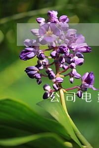 公司电费逾期会不会影响信用 公司电费逾期会不会影响信用