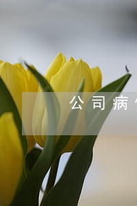 公司病假不给工资哪诉讼