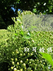 公司的信用卡被会计搞逾期了 公司的信用卡被会计搞逾期了