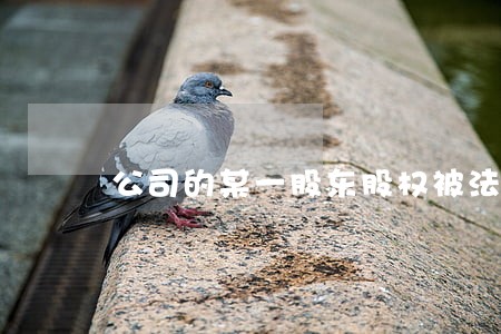 公司的某一股东股权被法院查封 公司的某一股东股权被法院查封