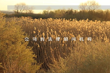 公司的法律顾问机构 公司的法律顾问机构