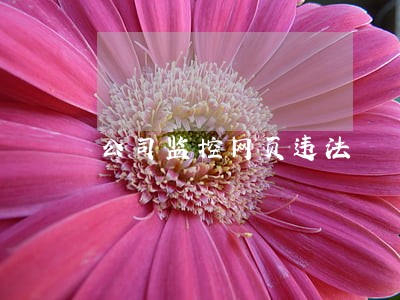 公司监控网页违法 公司监控网页违法