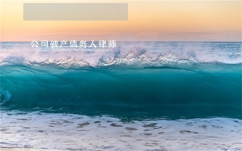 公司破产债务人律师 公司破产债务人律师