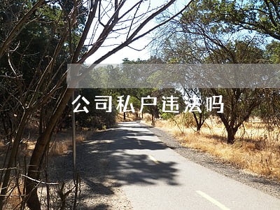 公司私户违法吗 公司私户违法吗