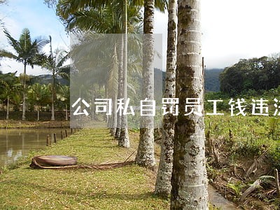 公司私自罚员工钱违法吗