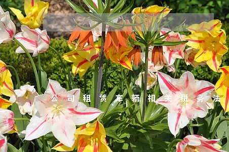 公司租赁车辆相关税务法规 公司租赁车辆相关税务法规