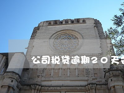 公司税贷逾期20天会变成次级吗 公司税贷逾期20天会变成次级吗