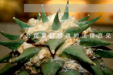 公司章程修改的法律意见书 公司章程修改的法律意见书