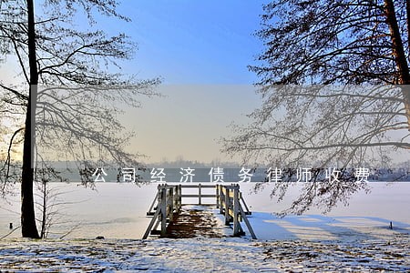 公司经济债务律师收费 公司经济债务律师收费