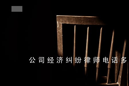 公司经济纠纷律师电话多少 公司经济纠纷律师电话多少