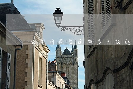 公司网商贷逾期多久被起诉 公司网商贷逾期多久被起诉