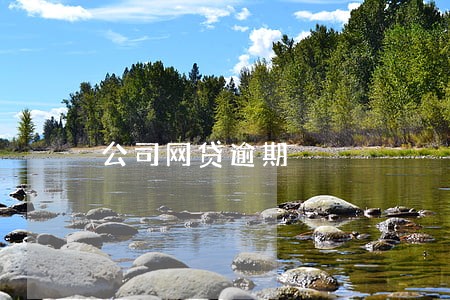 公司网贷逾期 公司网贷逾期