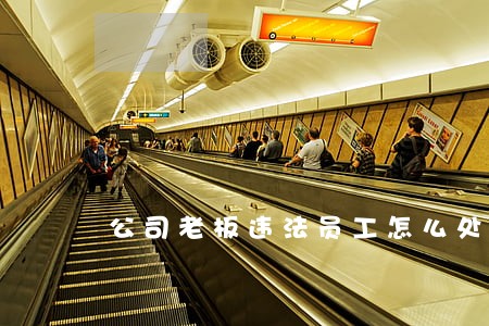 公司老板违法员工怎么处理 公司老板违法员工怎么处理