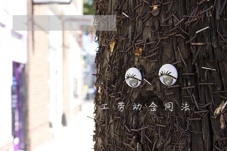公司职工劳动合同法 公司职工劳动合同法
