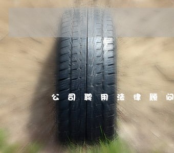 公司聘用法律顾问的申请