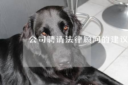 公司聘请法律顾问的建议
